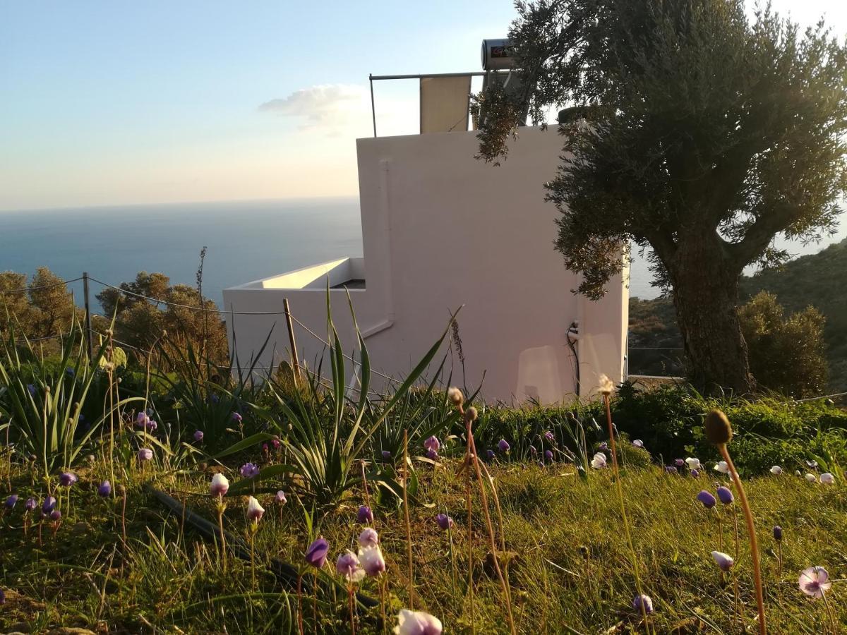 Sea Breeze Ecological Villa Agia Galini  Exterior photo